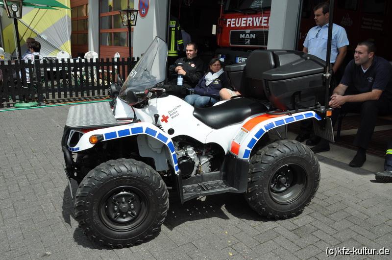 Golden Oldies 2012 3889.JPG